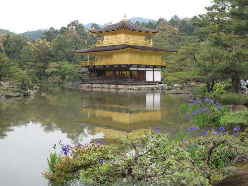 Goldener pavillion kyoto japan