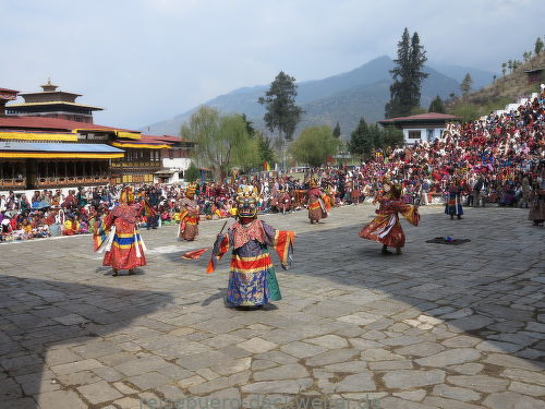 Paro fest